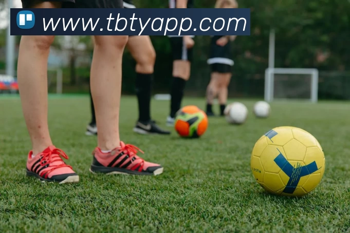 天博体育APP全站App