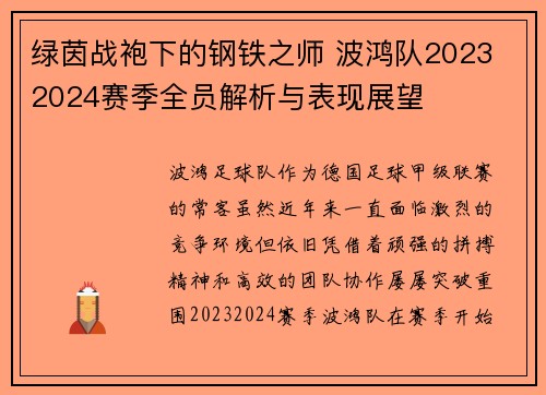绿茵战袍下的钢铁之师 波鸿队2023 2024赛季全员解析与表现展望