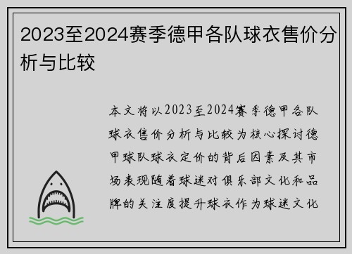 2023至2024赛季德甲各队球衣售价分析与比较